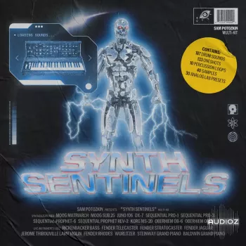Sam Potozkin Synth Sentinels WAV Analog Lab Bank-FANTASTiC