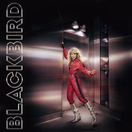 Blackbird – Do You Read Me!? (2026)