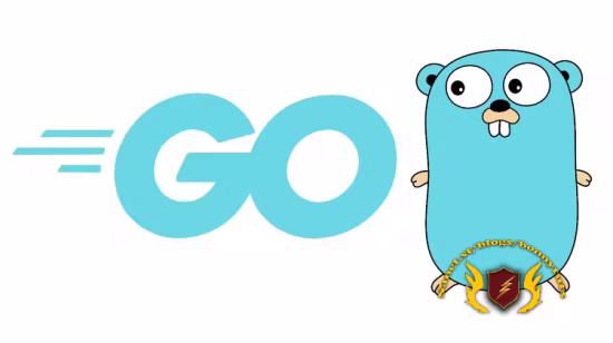 Go (Golang) Backend: APIs REST y WebSockets sin Frameworks