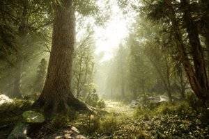 Unreal Engine Bundle 1 Apr 2026