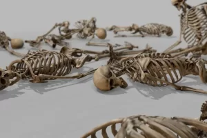 模块化人体骨骼 – Modular Human Skeleton