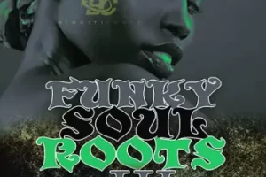 Big Citi Loops Funky Soul Roots 3 WAV MiDi-FANTASTiC