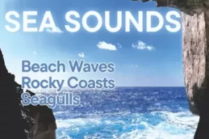 Sound Effects Vedette Records Studios Sea Sounds Vol.26 FLAC-FANTASTiC