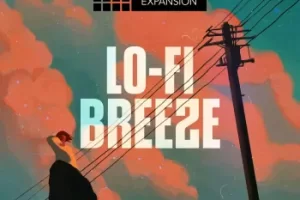 AKAI Jamie Wilder Lo-Fi Breeze MPC Expansion XPN Standalone