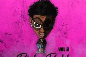 SMEMO Sounds Richy Rodd Vol 2 WAV MiDi-FANTASTiC
