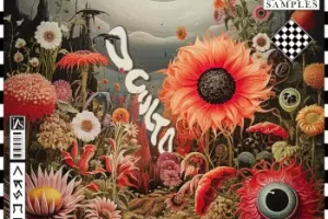 Mystic Samples Oculto Reggaeton 雷鬼拉丁音色素材包评测