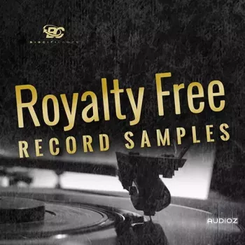 Big Citi Loops Royalty-Free Record Samples WAV REX-FANTASTiC