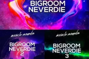 Miracle Sounds Bigroom Neverdie Bundle 三合一EDM采样包套装