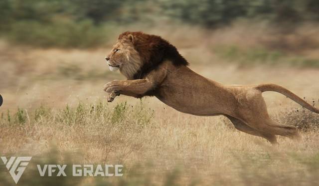 VFX Grace Animal Pack 20