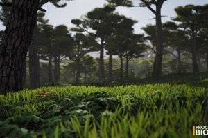 Fab UE5程序化生物群系：3种地貌自动生成与动态光照环境包