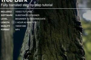 Substance Designer树皮材质教程：从入门到进阶技巧