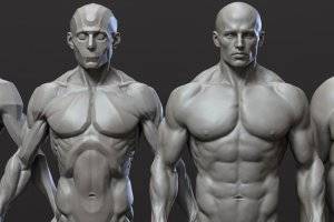 CGBump Zbrush人体解剖教程：男性与女性中级建模