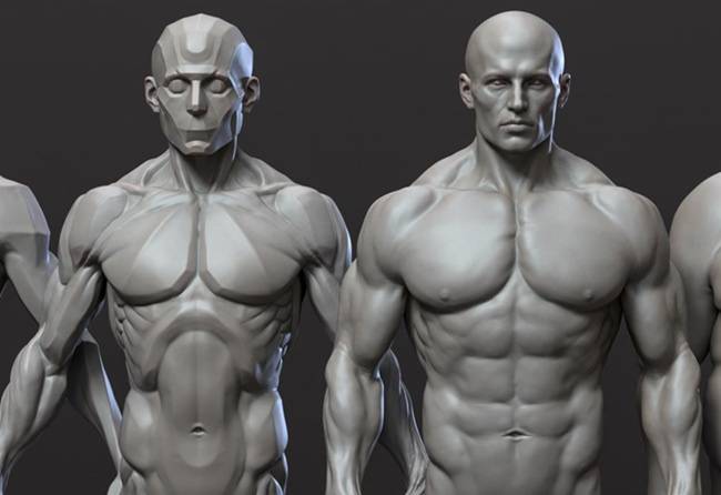 CGBump – Zbrush Intermediate Anatomy Male and Female