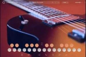 LANDR LANDR Guitar v1.1.24