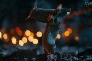 Rebelway – Creature Rigging in Houdini