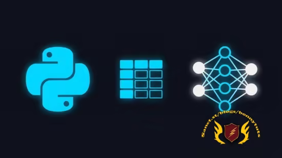 Python for Data Science & Machine Learning Foundations