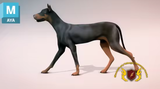 How to Animate a Dog Walk Cycle in Maya
