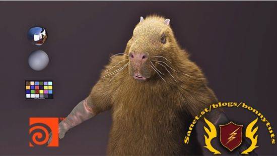 Fundamentals of Fur Grooming in Houdini