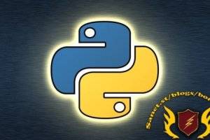 Python编程快速入门课程，零基础高效学习指南
