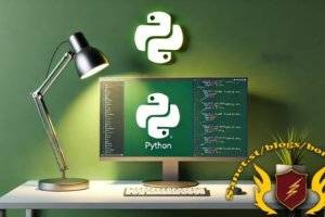 2025完整Python课程：101个项目实战精通编程
