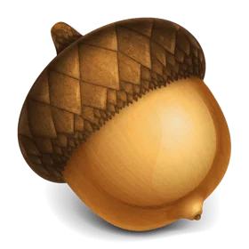 Acorn 8.6.0 MacOS