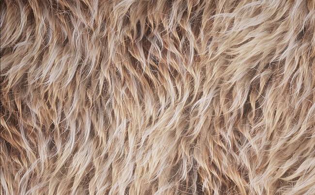 Levelup.Digital – Creating a Smart Fur Material QiYuDai