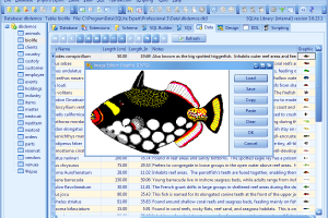 SQLite Expert Professional 5.5.42.655 x64 可视化数据库管理工具