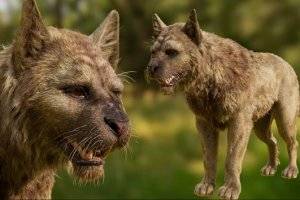 Houdini奇幻生物毛发制作教程：电影级视效技术解析