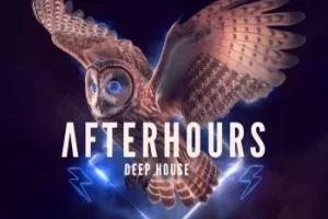 Afterhours Deep House采样包：夜间俱乐部能量与地下氛围