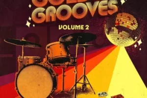 Tamuz Golden Grooves Vol.2：复古放克迪斯科鼓声采样包