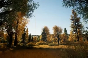 逼真的秋季森林场景 2×2 Realistic Autumn Forest Location 2×2