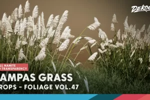 植物 VOL.47 – 蒲苇 Foliage VOL.47 – Pampas Grass