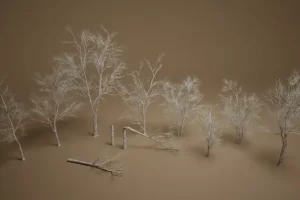 foliage第26卷 – 枯桦树 Foliage VOL.26 – Dead Birch Trees (Nanite + Low Poly)