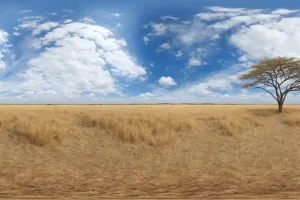 HDRI稀树草原全景图 HDRI Savanna Panoramas