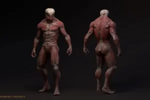 无皮肤突变体 Skinless mutant