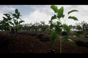 带有果实和蔬菜的全交互式物理植物 – 动态系统 R13 Full Interactive Physic Plants with Fruits and Veg – Dynamic System R13