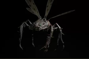 危险的苍蝇 Dangerous Fly