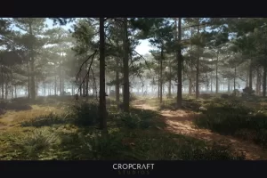 红松生物群系 Red Pine Biome