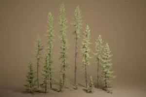 植被 第49卷 – 黑云杉 无透明 Foliage VOL.49 – Black Spruce (Nanite – NO TRANSPARENCY)