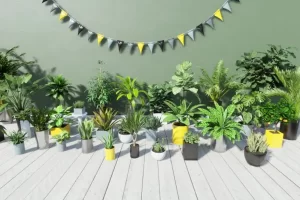 热带室内植物 Tropical House Plants