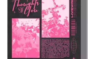 SamplesWave Thoughs Of You Vol.2 陷阱灵魂/R&B采样包下载