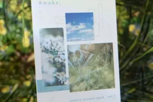 Colorless Studio Awake Poetry纹理包Vol.1：WAV MIDI音效素材