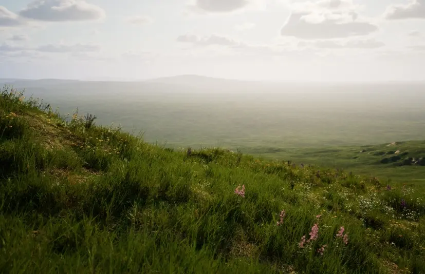 高山草甸 ALPINE MEADOW