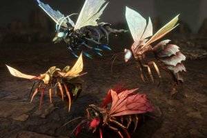 黄蜂队 Wasps pack