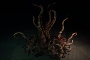 肉质鞭毛与血肉之花 Flesh Flagella and Meat Flowers