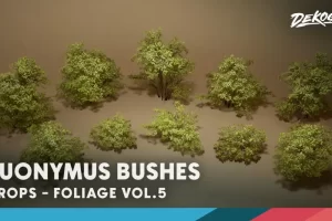 植物图鉴 第5辑 – 卫矛灌木丛 Foliage VOL.5 – Euonymus Bushes