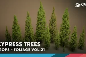 绿植特辑 第21期 – 柏树 Foliage VOL.21 – Cypress Trees