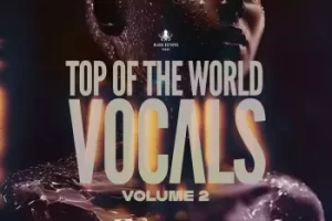 Black Octopus Sound至高人声Vol.2:EDM/Pop人声素材与Serum 2预设库
