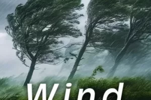 Sound Ideas Wind Sounds FLAC 高品质风声音效库下载