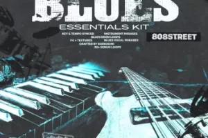 Barragini Blues Essentials Phrase Kit 蓝调音色包免费下载